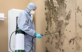 Best Basement Mold Removal  in Lincoln, AR